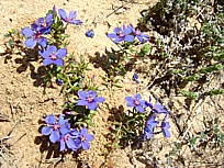 Sancti-Ks27_1
