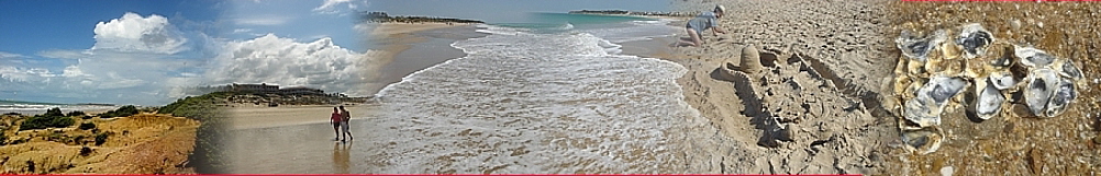 Strandpanorama4
