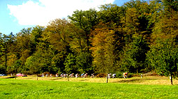 Feuerbacher Tal