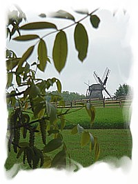 Bockwindmhle