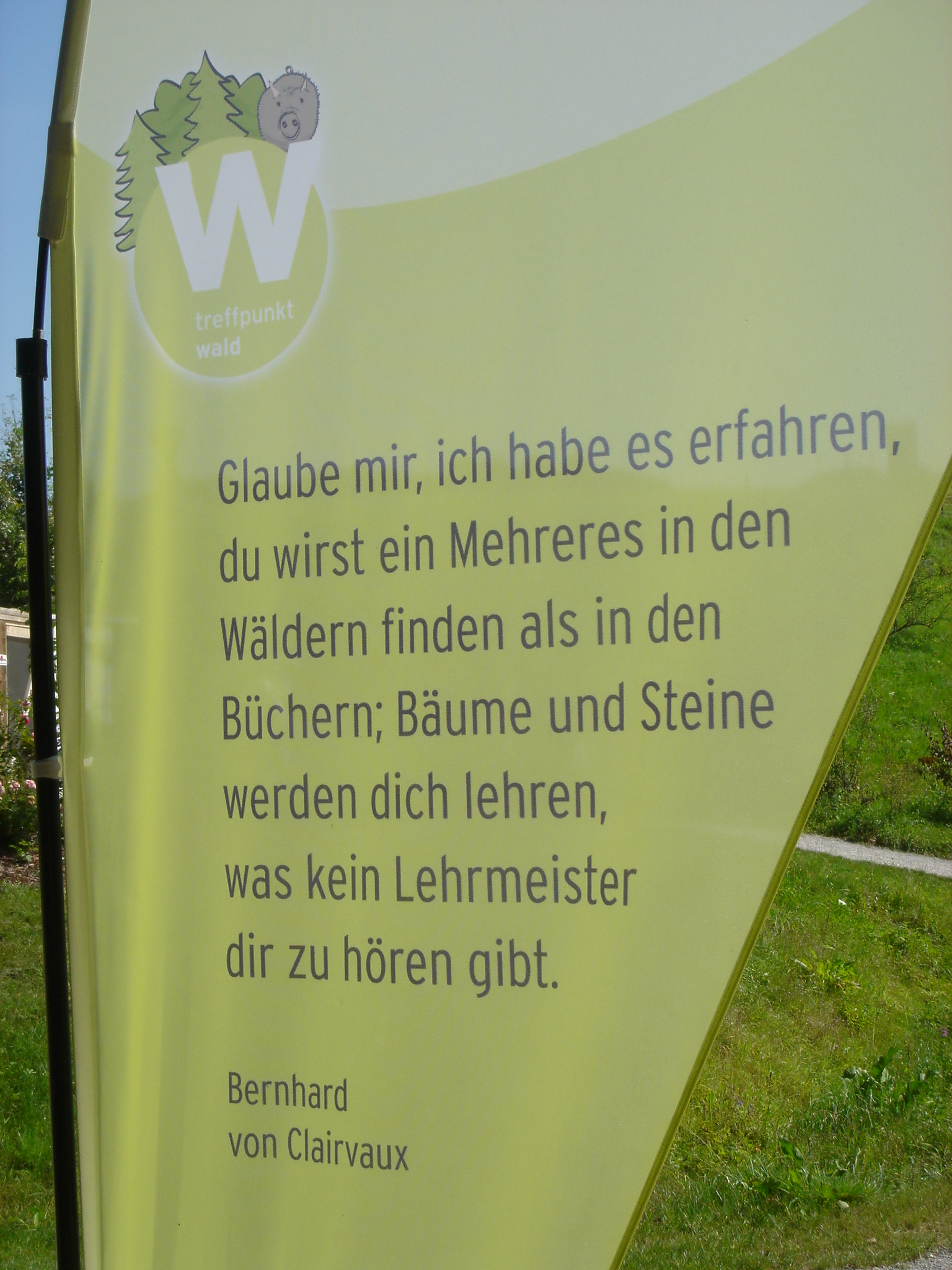 Spruch zum Nachdenken