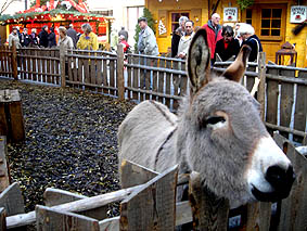Weihnachtsesel