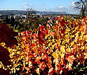 Herbstzeitblick
