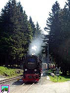 Einfahrt Schierker Bahnhof