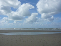 Egmond290