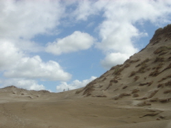 Egmond330