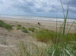 Egmond350