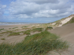 Egmond360