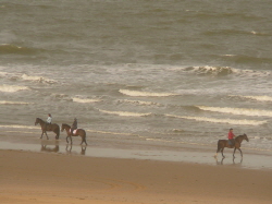 Egmond520